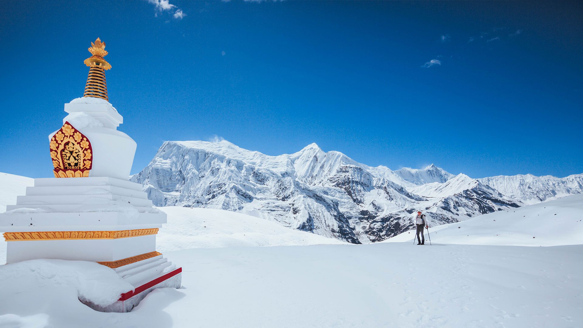 Majestic Annapurna Mountain View