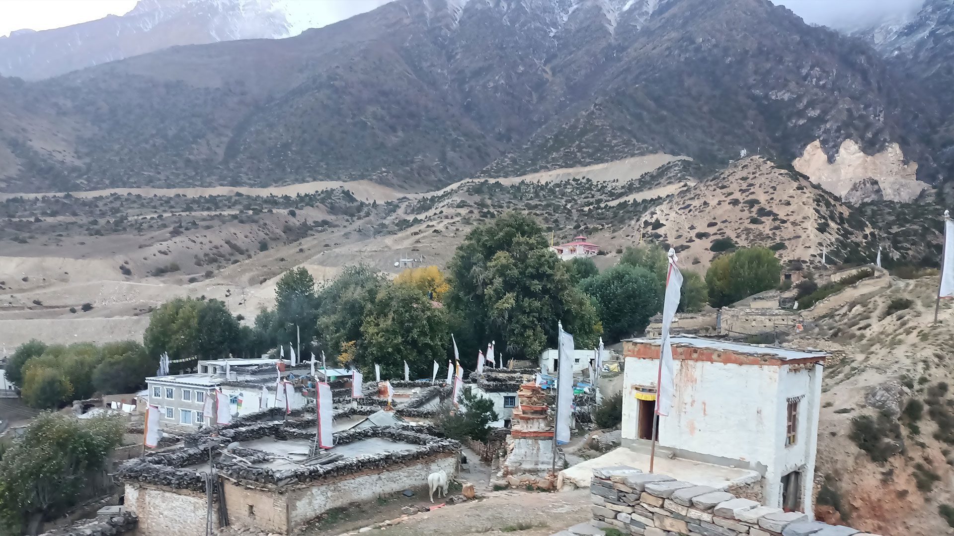 Upper Mustang trek from Pokhara flags