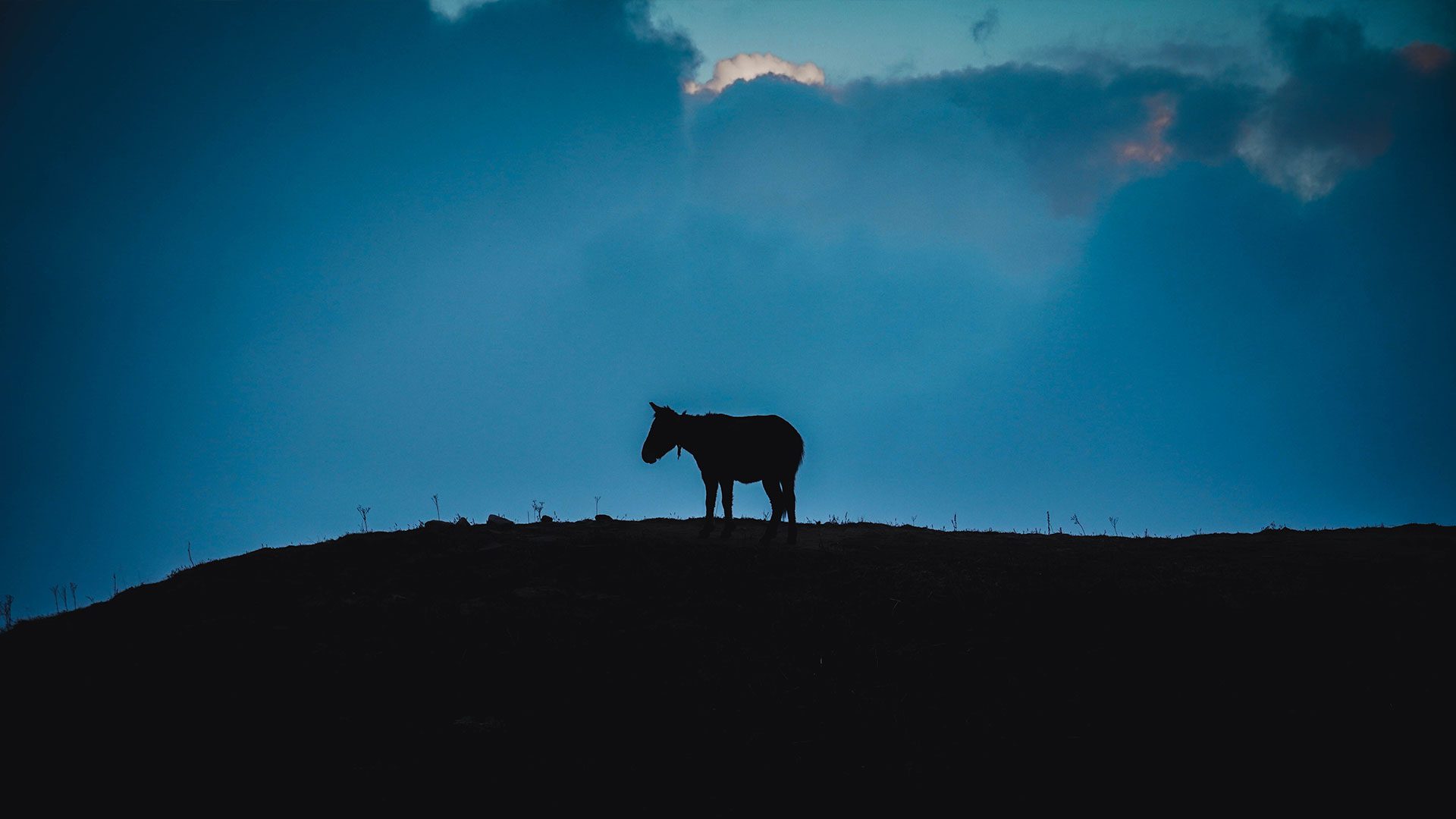 mardi himal trek in best price