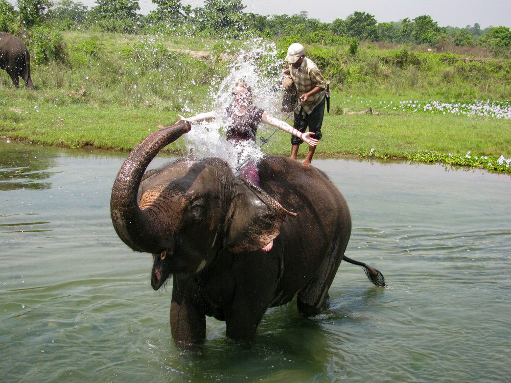 Chitwan National Park Tour elephant bathing