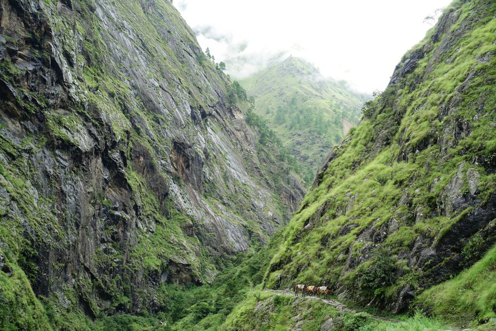 Manaslu Circuit Trek with Tsum Valley trail