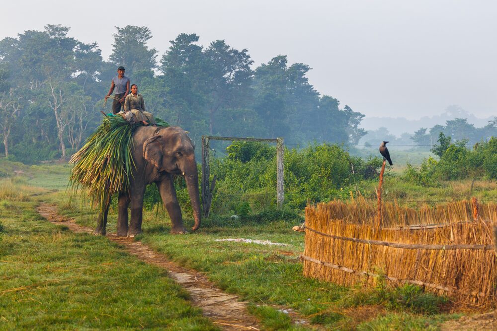 Chitwan National Park Tour livelihood