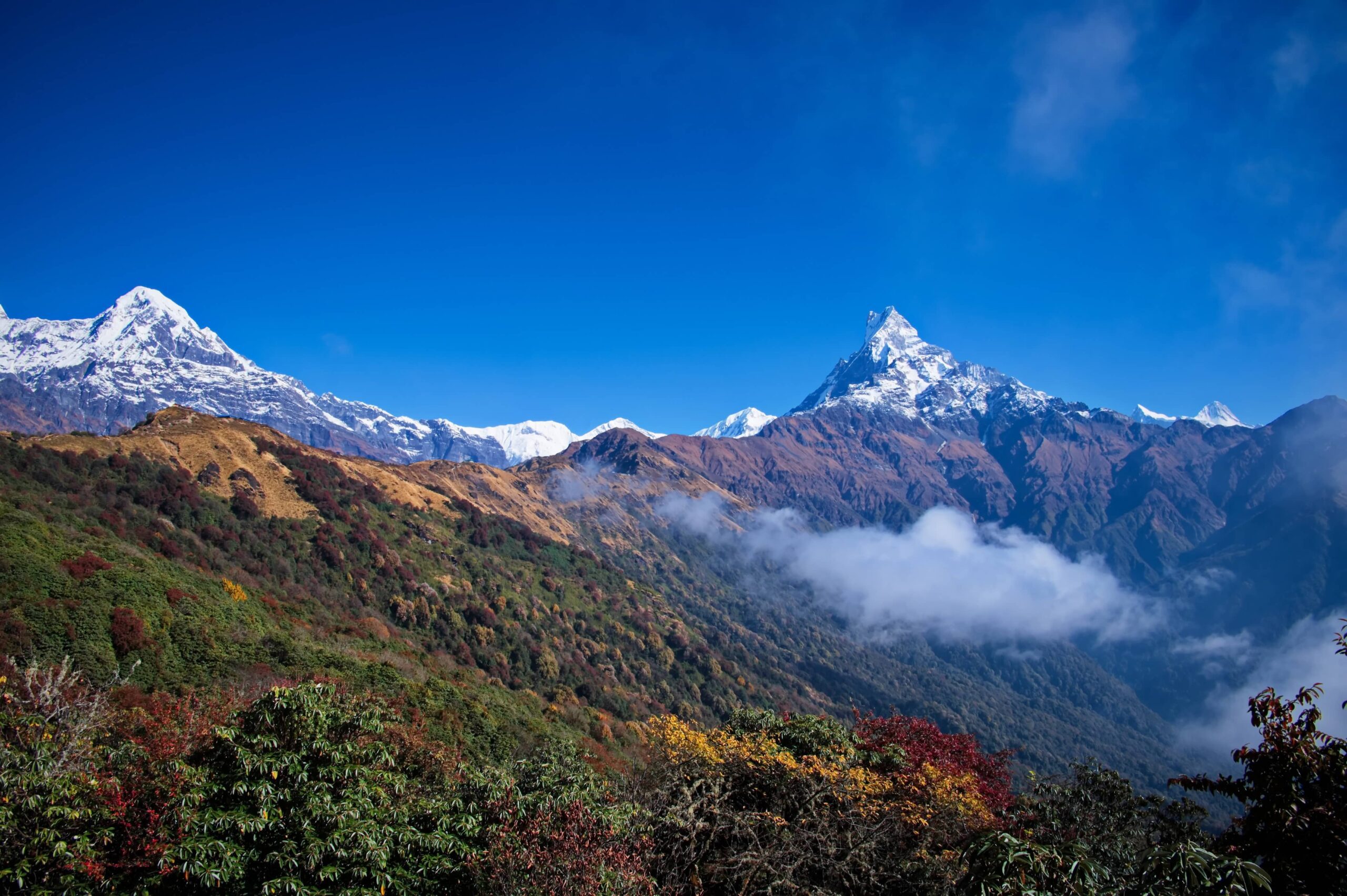 4-day Mardi Himal Trek scenes