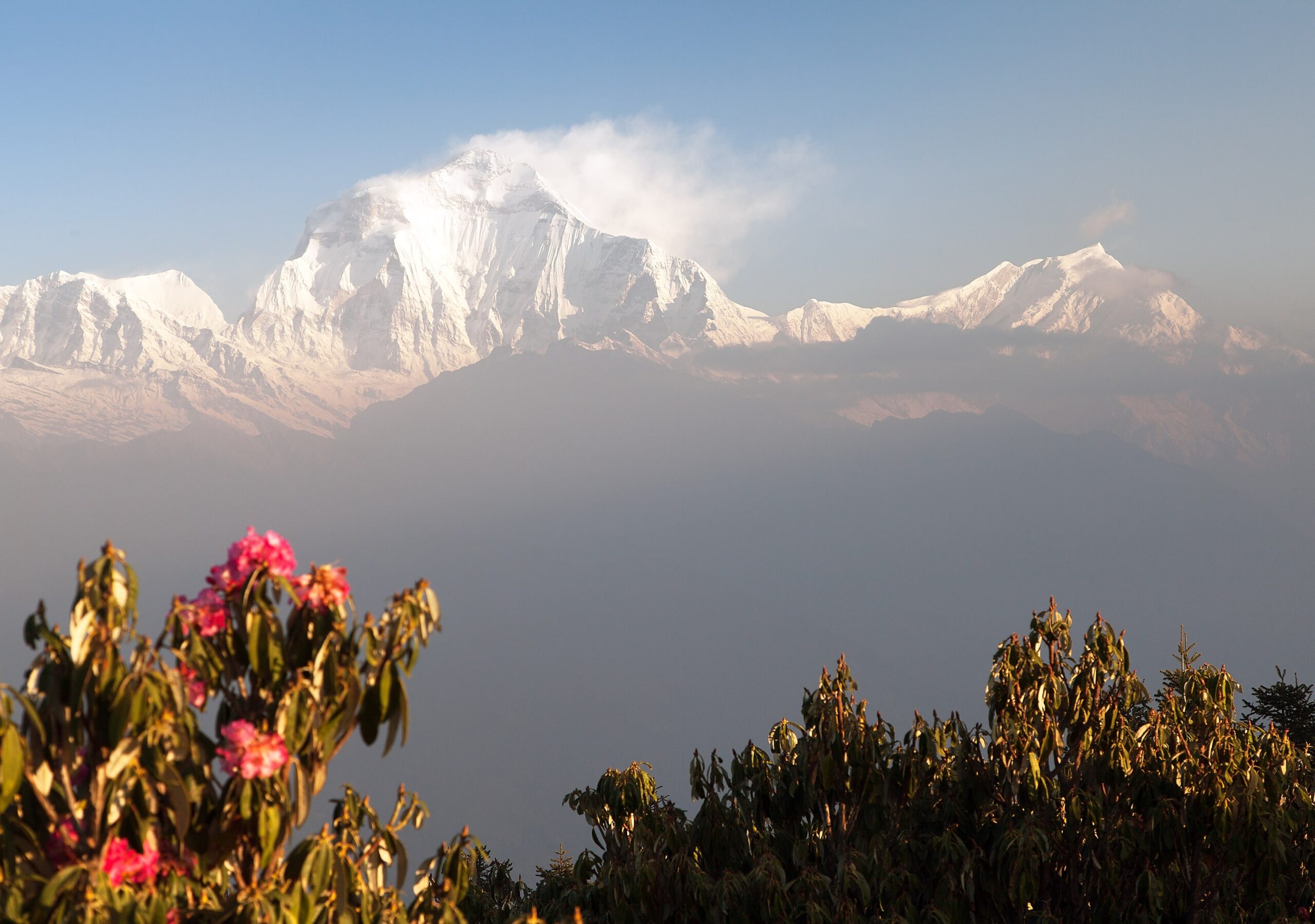 khopra danda trek with poonhill beauty