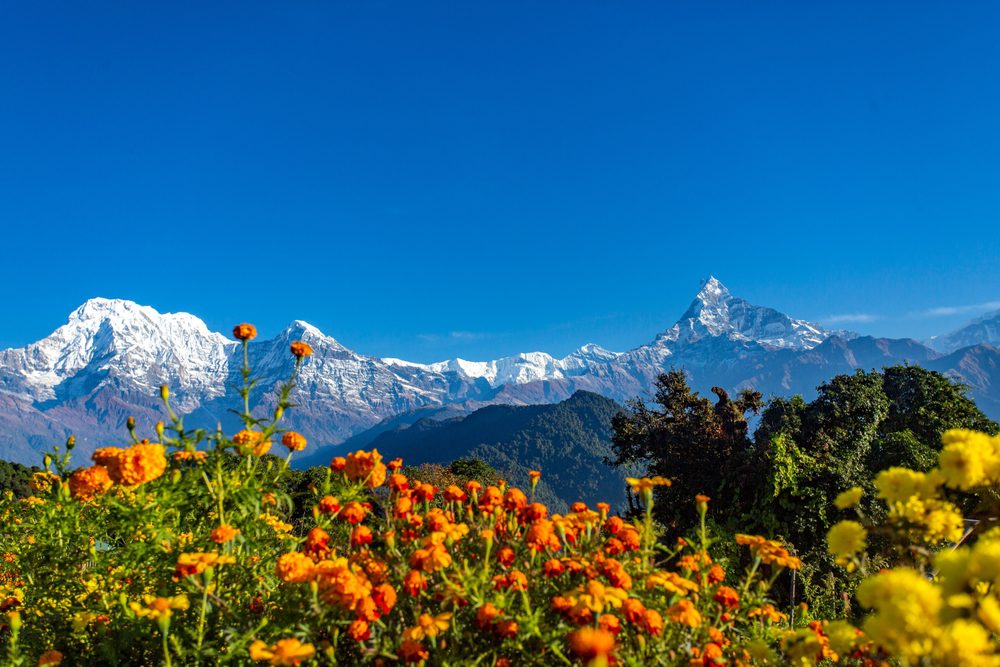 6-day Annapurna Base Camp Trek background view