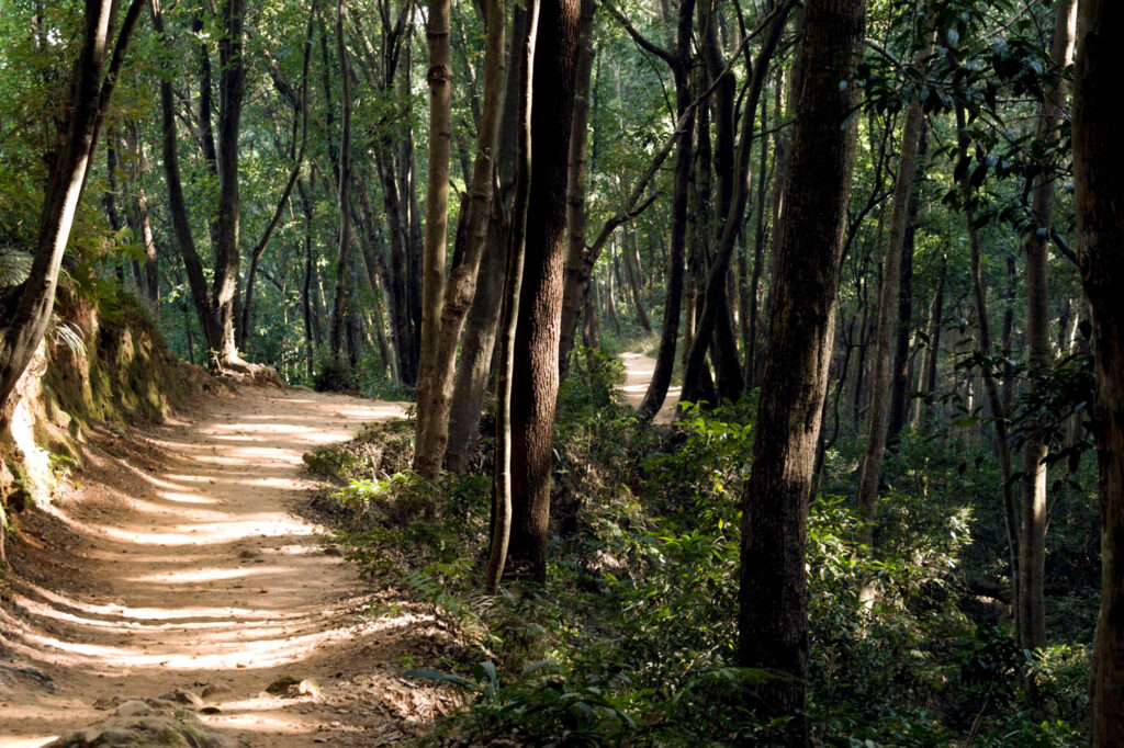 shivapuri day hike