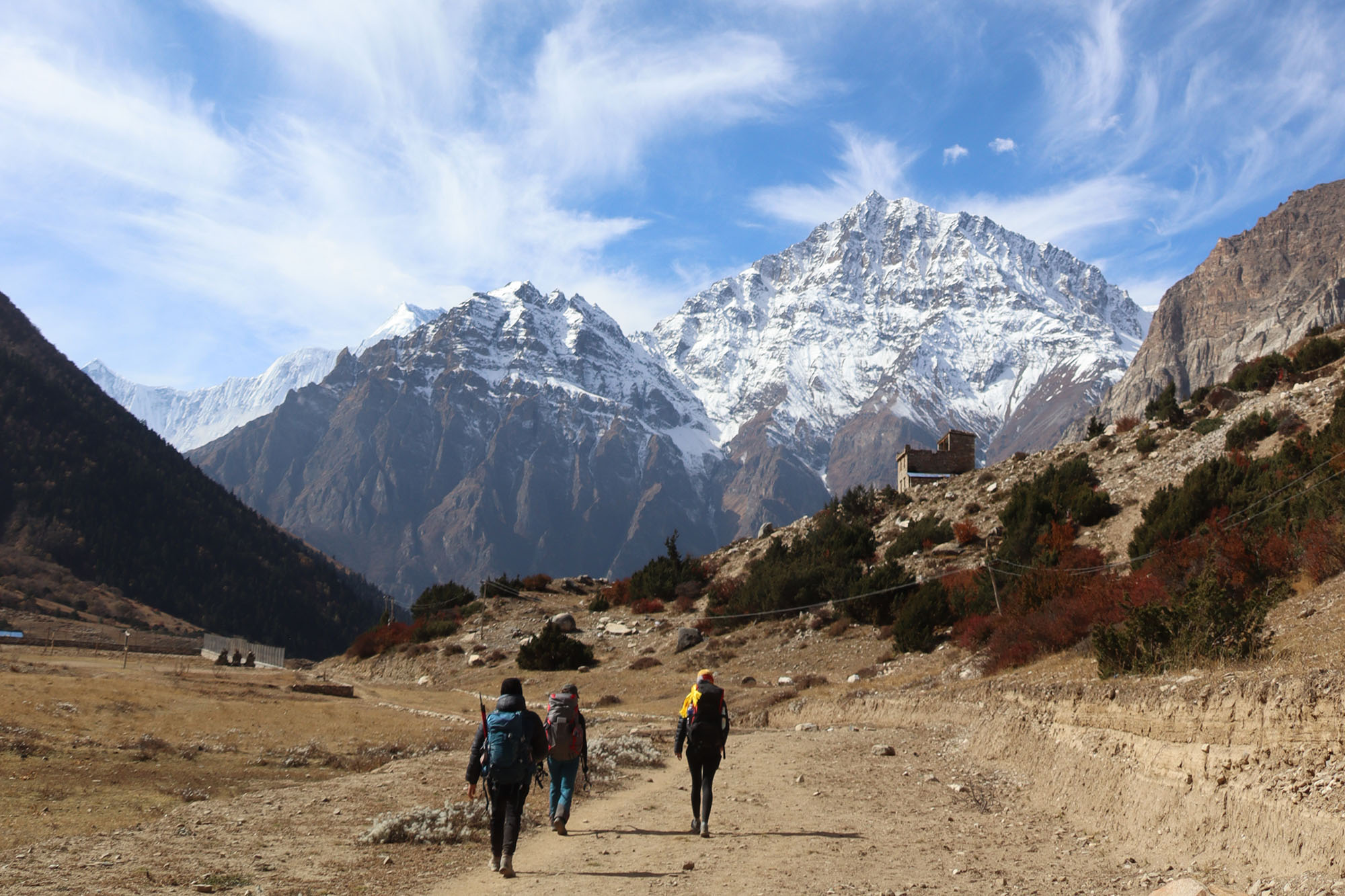 kyang narphedi, trekking in nepal