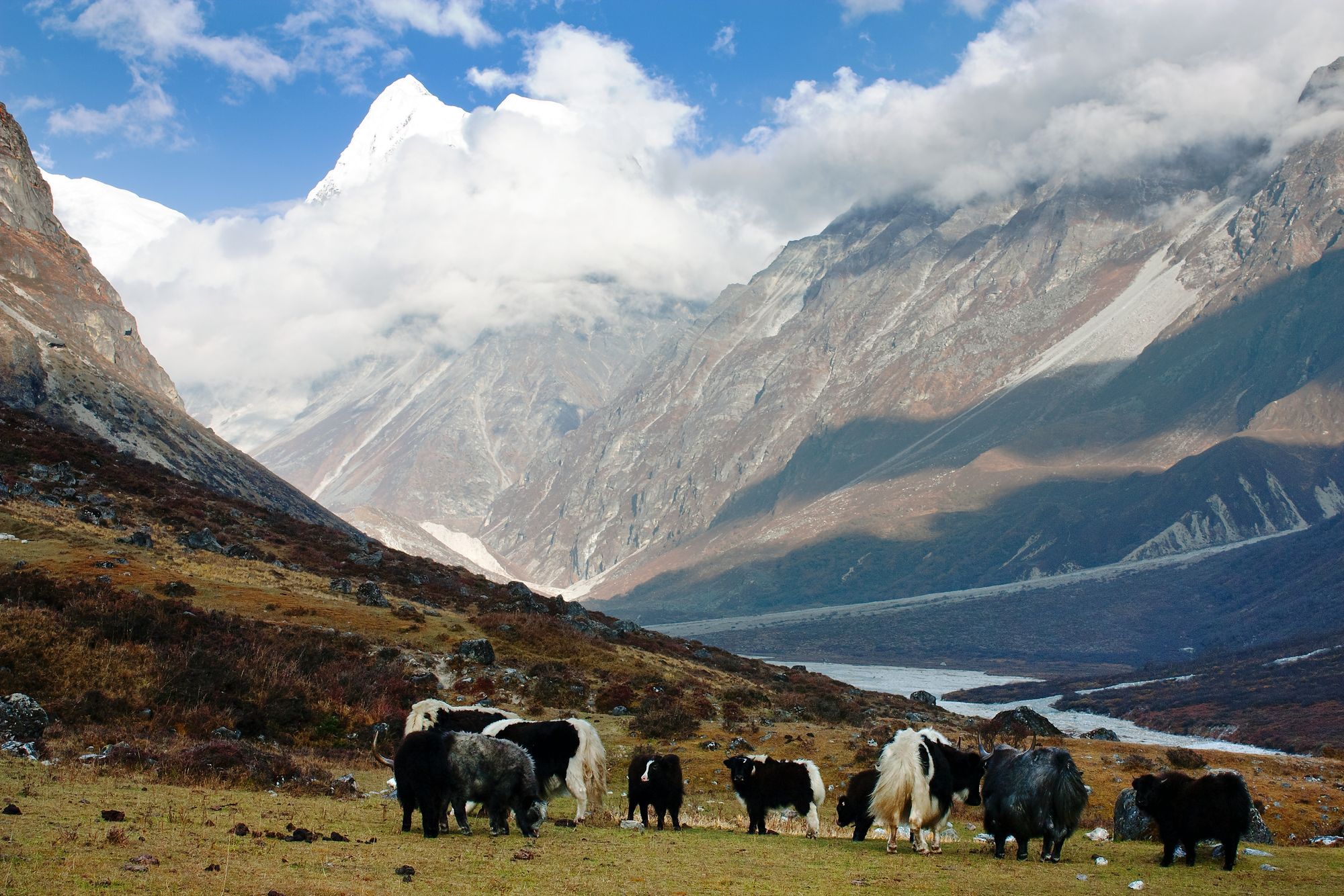 langtang valley trek