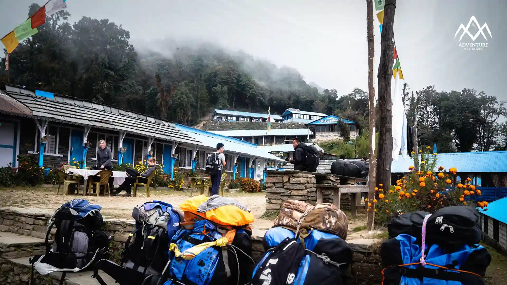 mardi himal base camp trek