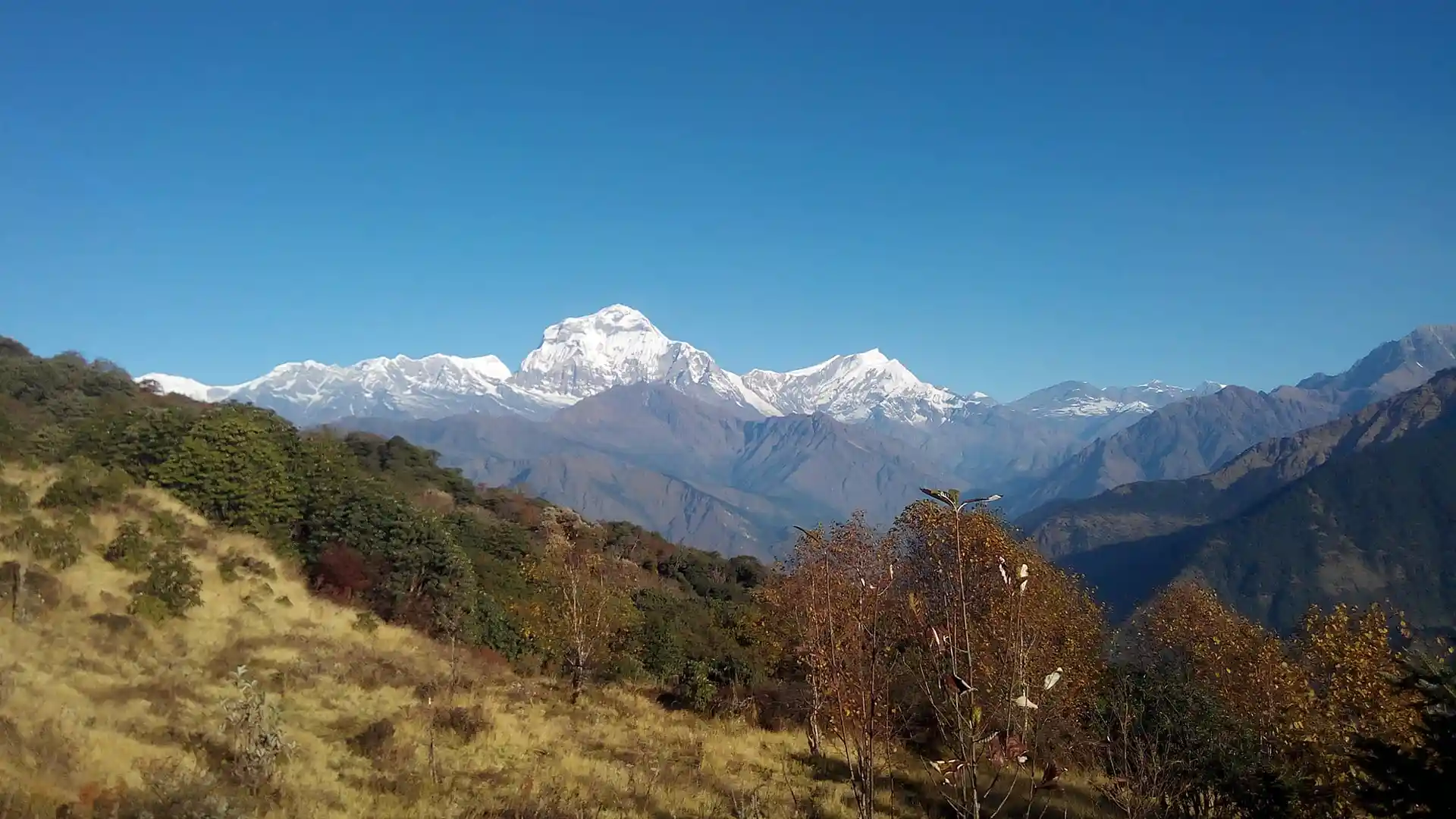 ghorepani trek