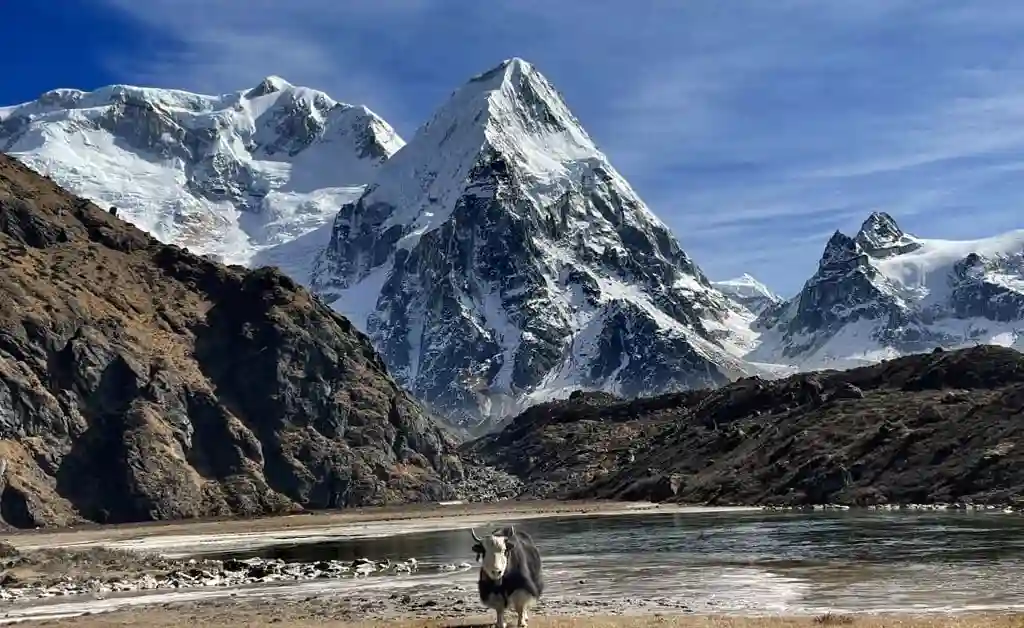 kanchenjunga trek