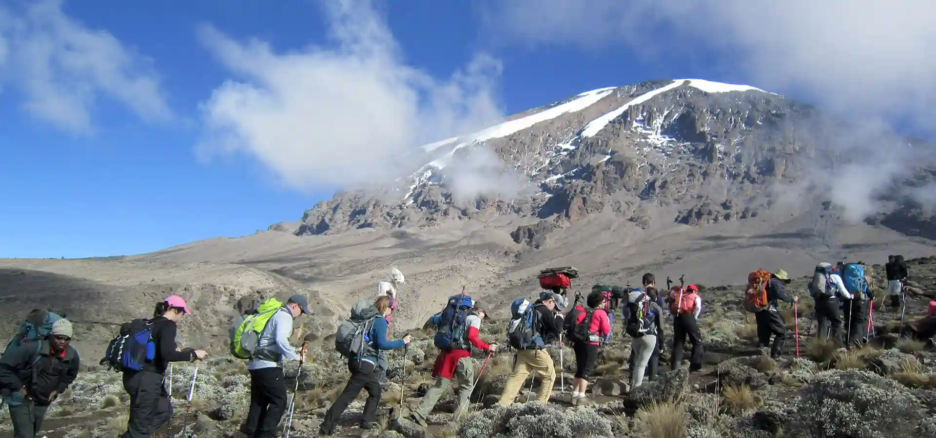 kilimanjaro