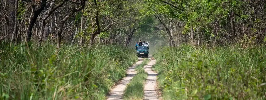 bardiya national park