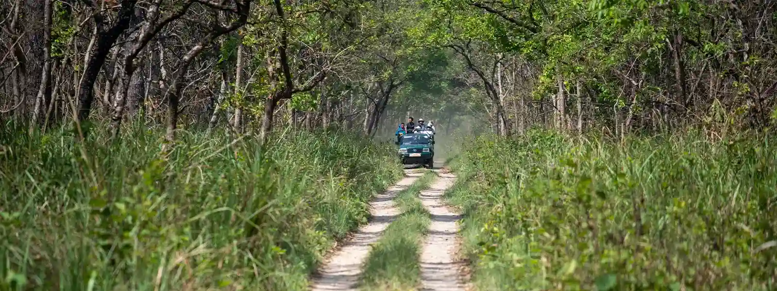 bardiya