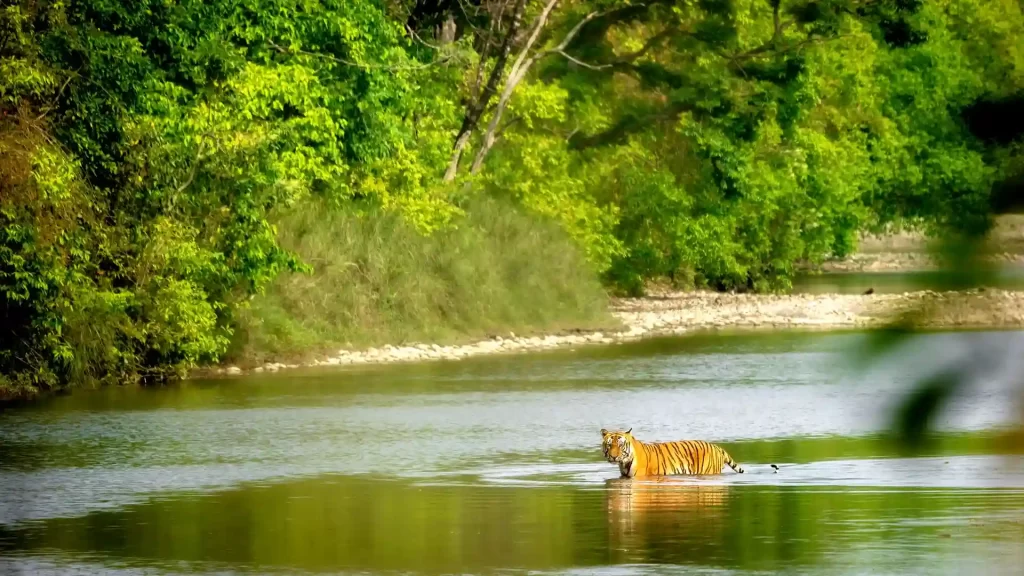 bardiya national park