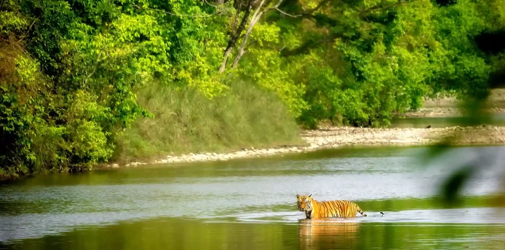 bardiya national park