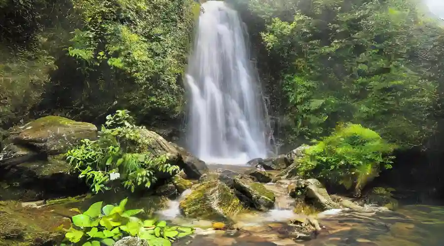 simba waterfall