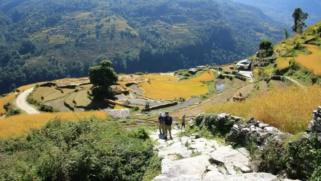 ghandruk trek