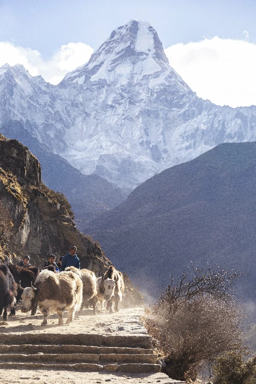 Everest Base Camp Trekking