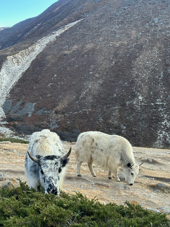 Mount Everest Base Camp Trekking